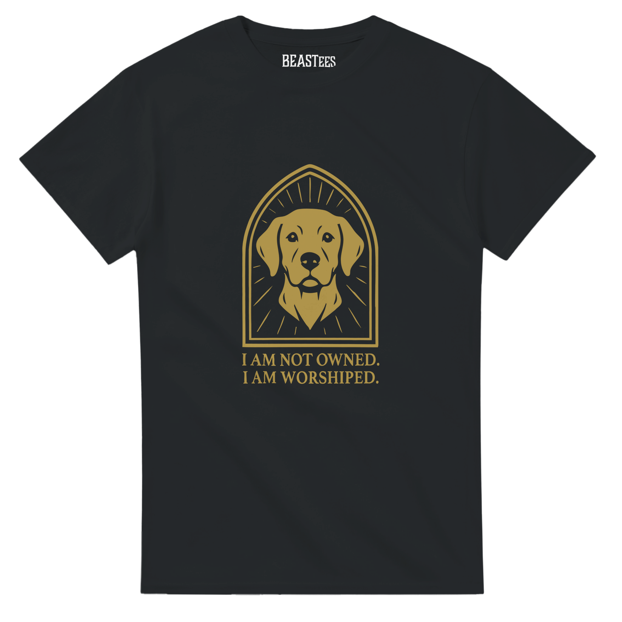 03d611c5-5f3a-463f-913b-8f30a938753c