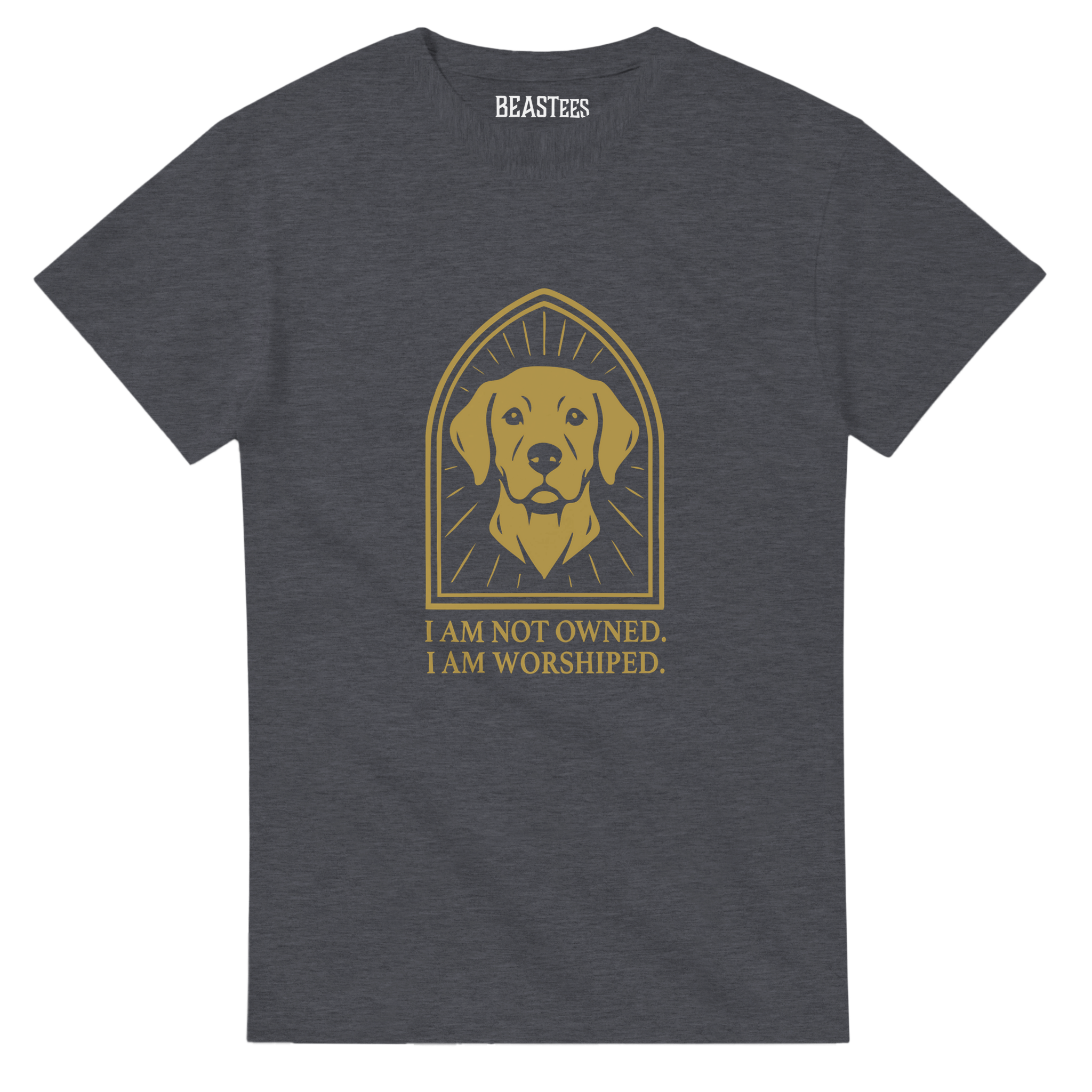 14195dc0-5af7-41a8-80f0-502d63375a26