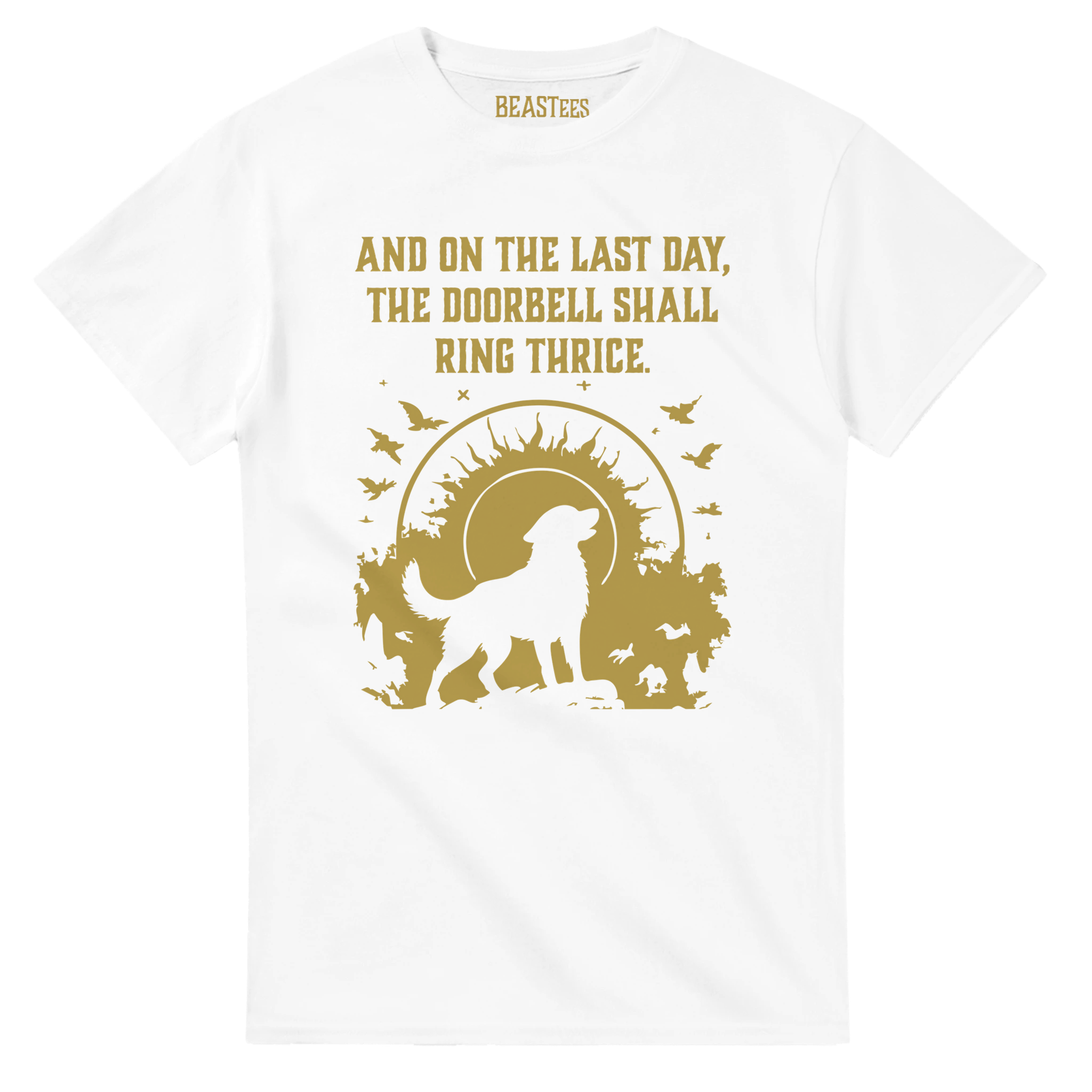 15e7c03b-0fb9-4336-85ac-1349706f6129