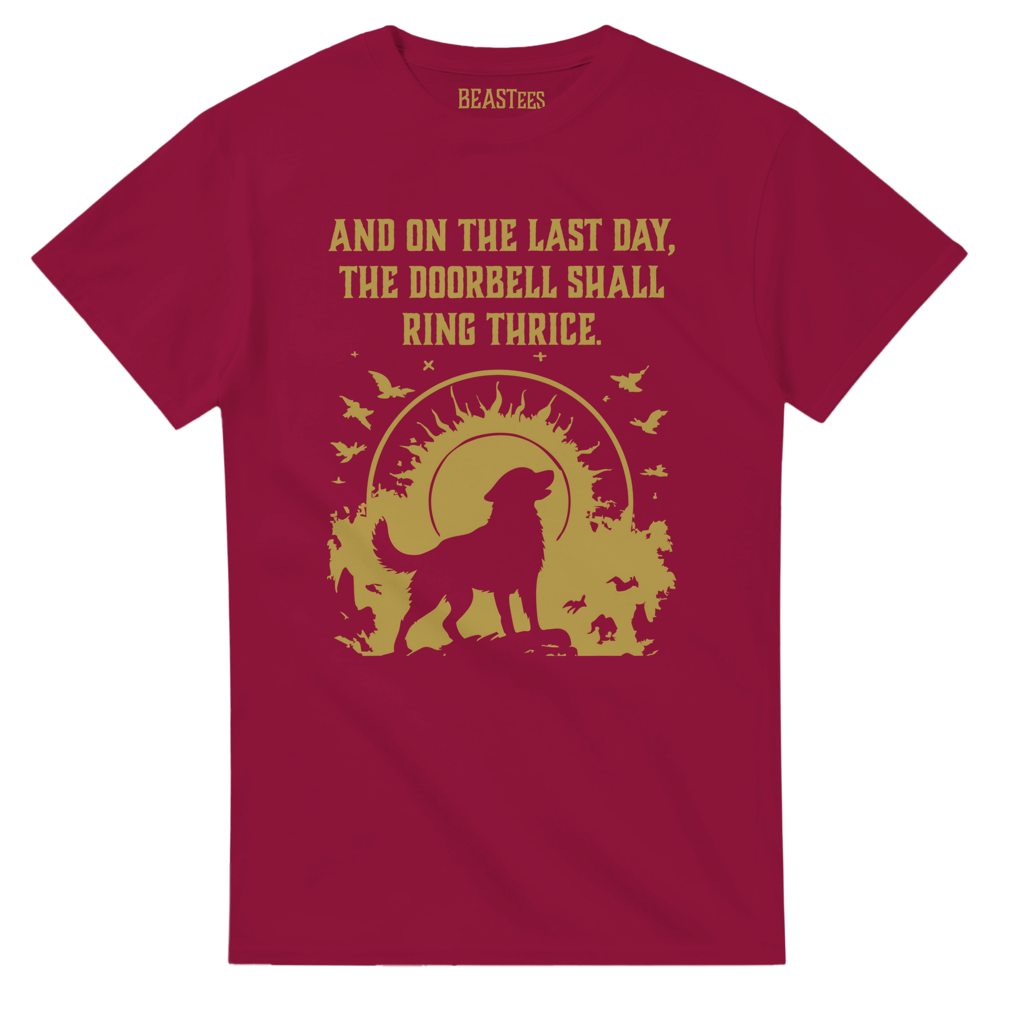 72a4316f-aaa0-4d79-8380-a76caf9ff9ba