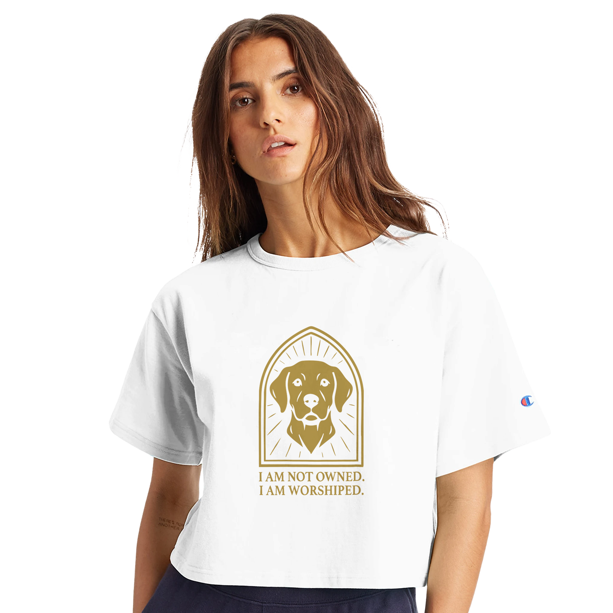 87043972-baac-4ff3-9445-2a60601e85b1