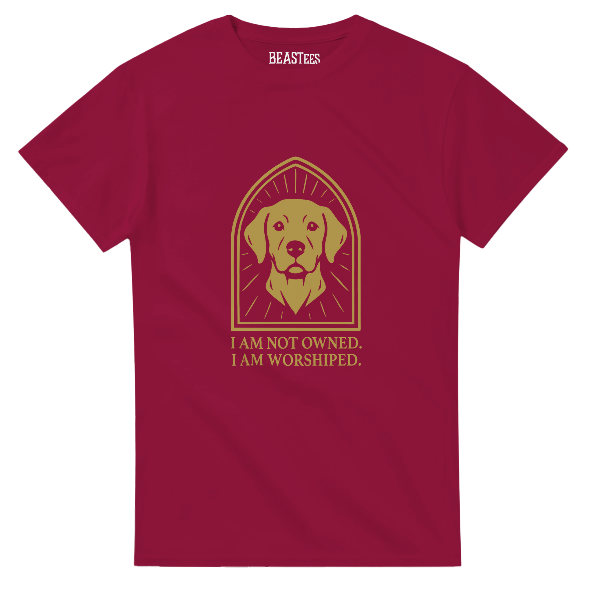 a619f8d7-6b7d-443f-8a96-352ca7eea672