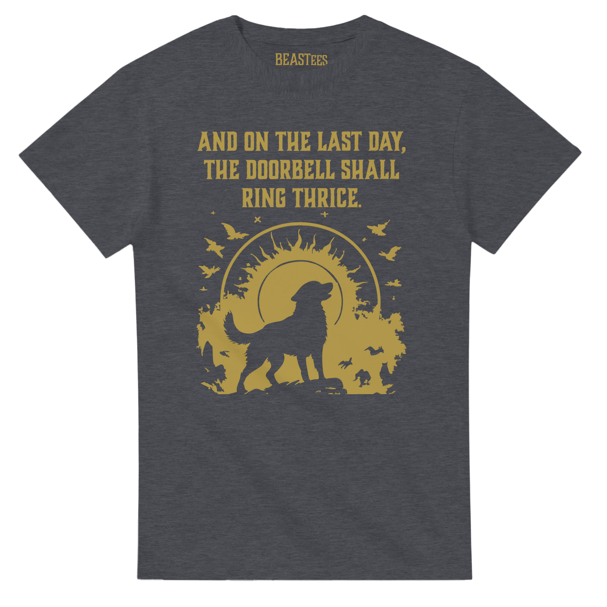 b8c9ef9b-4270-4cc5-9750-b44dd26ee559