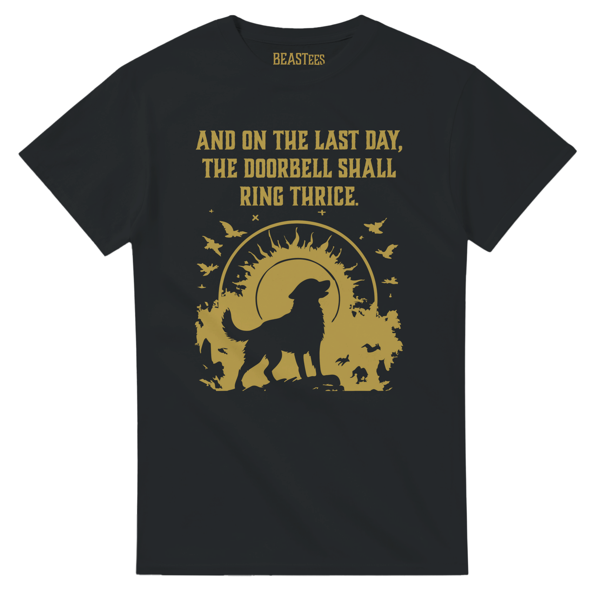 d1b5ffda-87e7-42d7-ad88-83d228d1159d