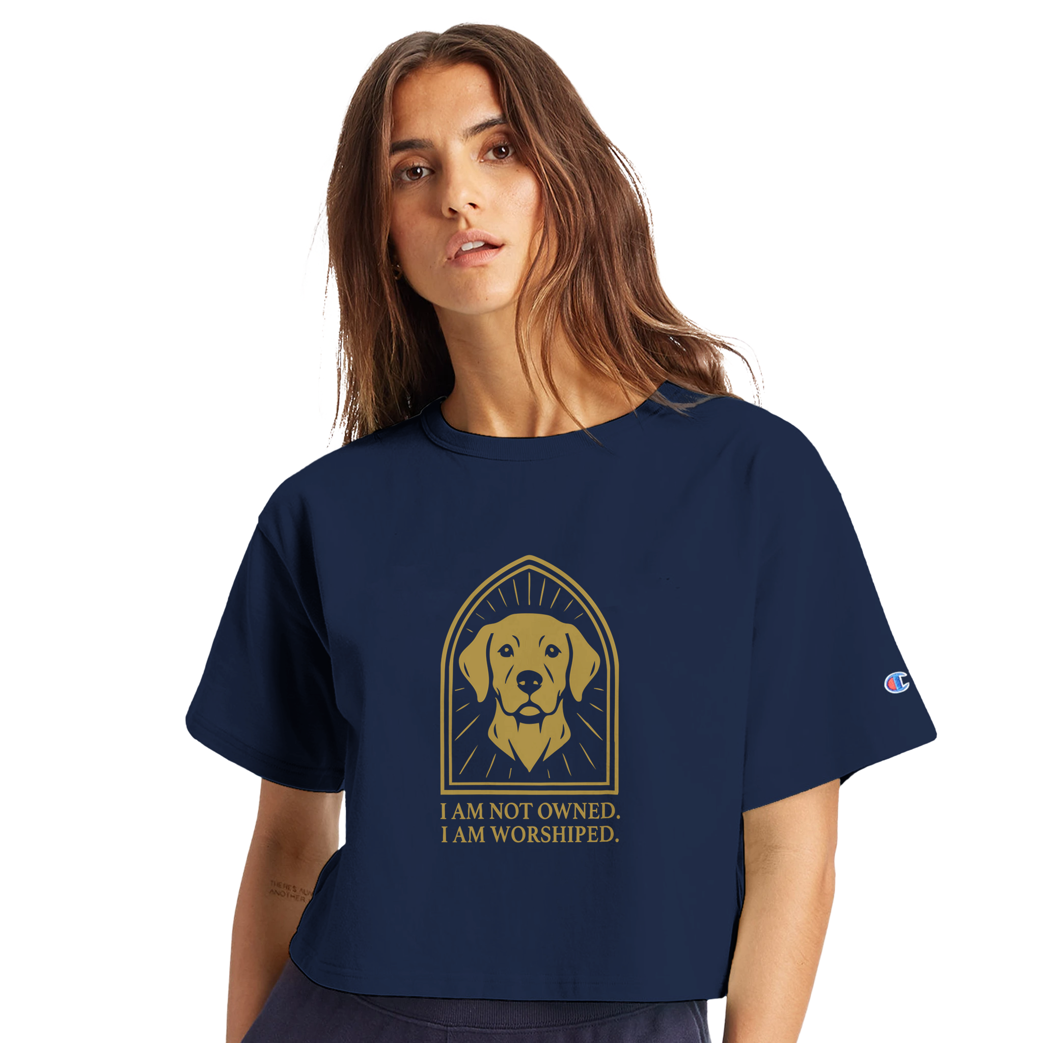 e3dd26c1-7e61-4754-821c-9e0d3bf79ce9