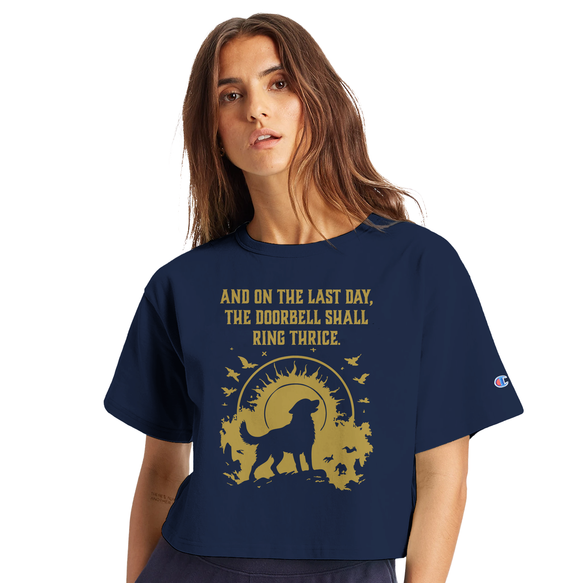 fb20f671-cf1e-41db-a184-c4a26197ea49